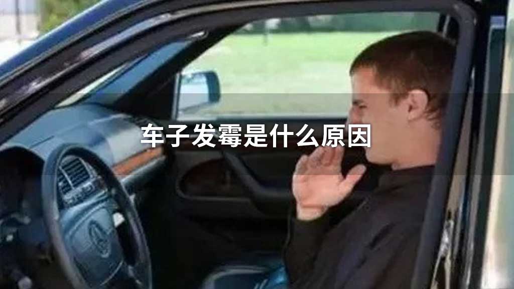 车子发霉是什么原因