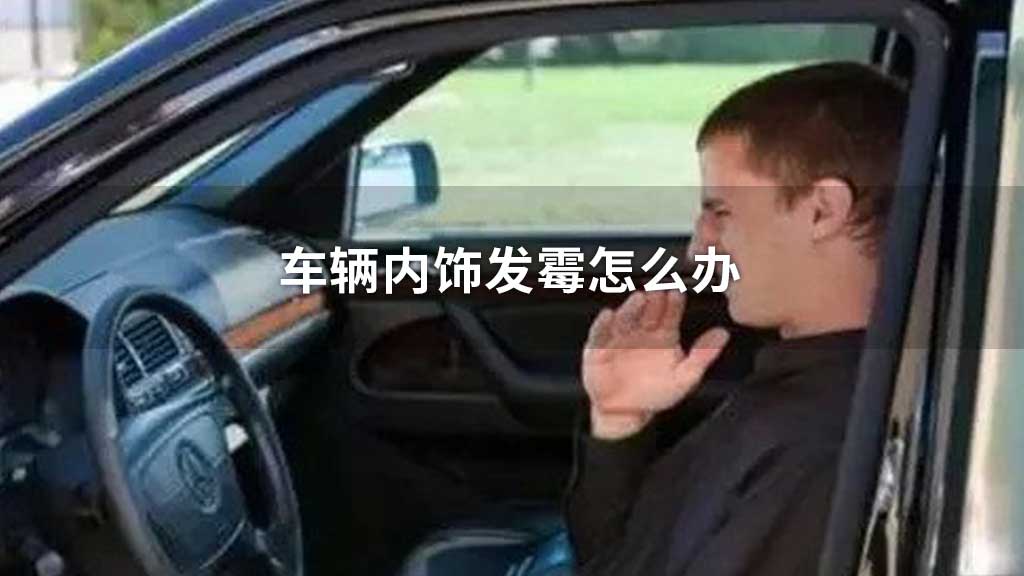 车辆内饰发霉怎么办