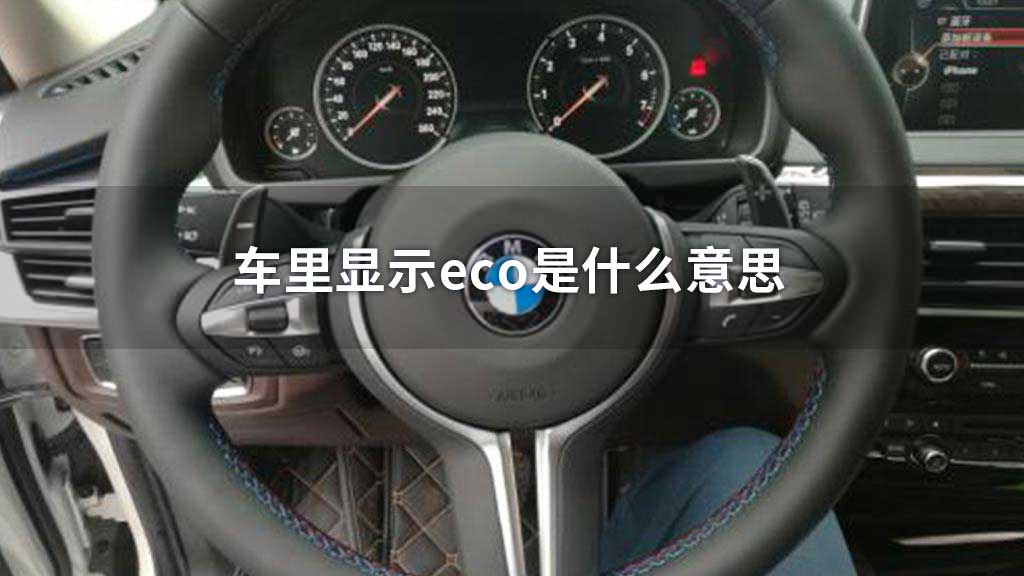 车里显示eco是什么意思