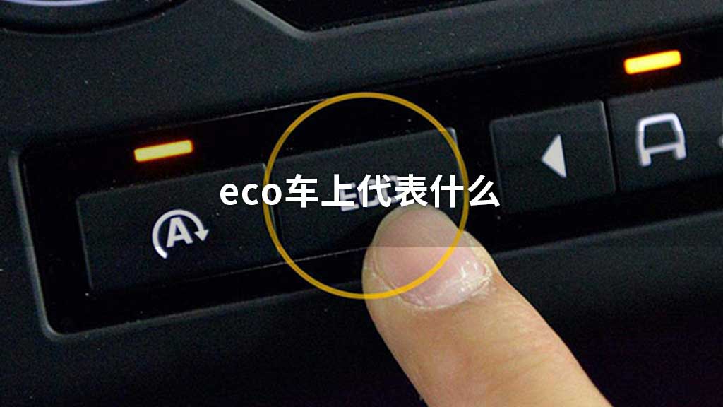 eco车上代表什么
