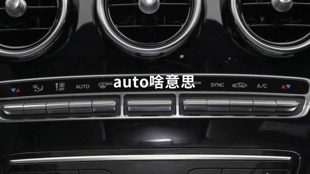 auto啥意思