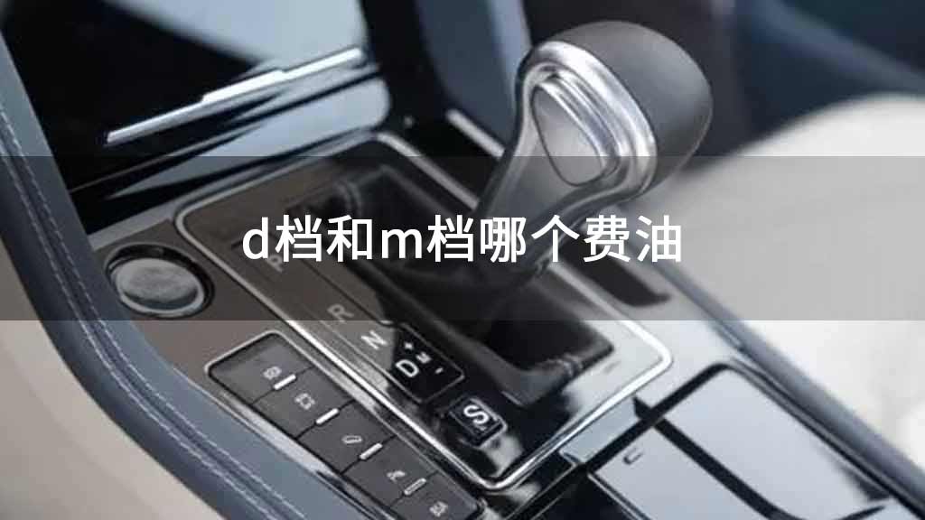 d档和m档哪个费油