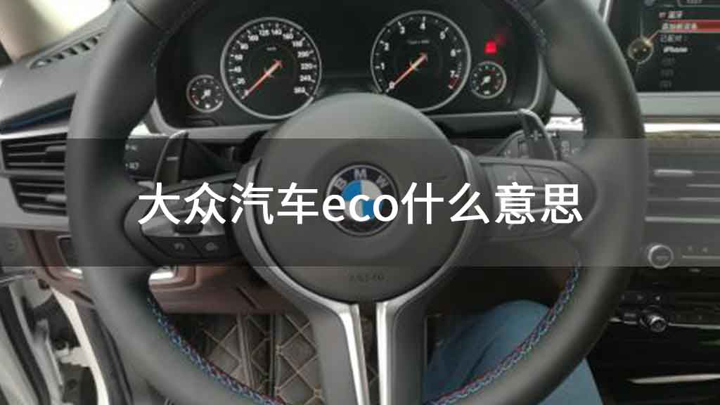 大众汽车eco什么意思