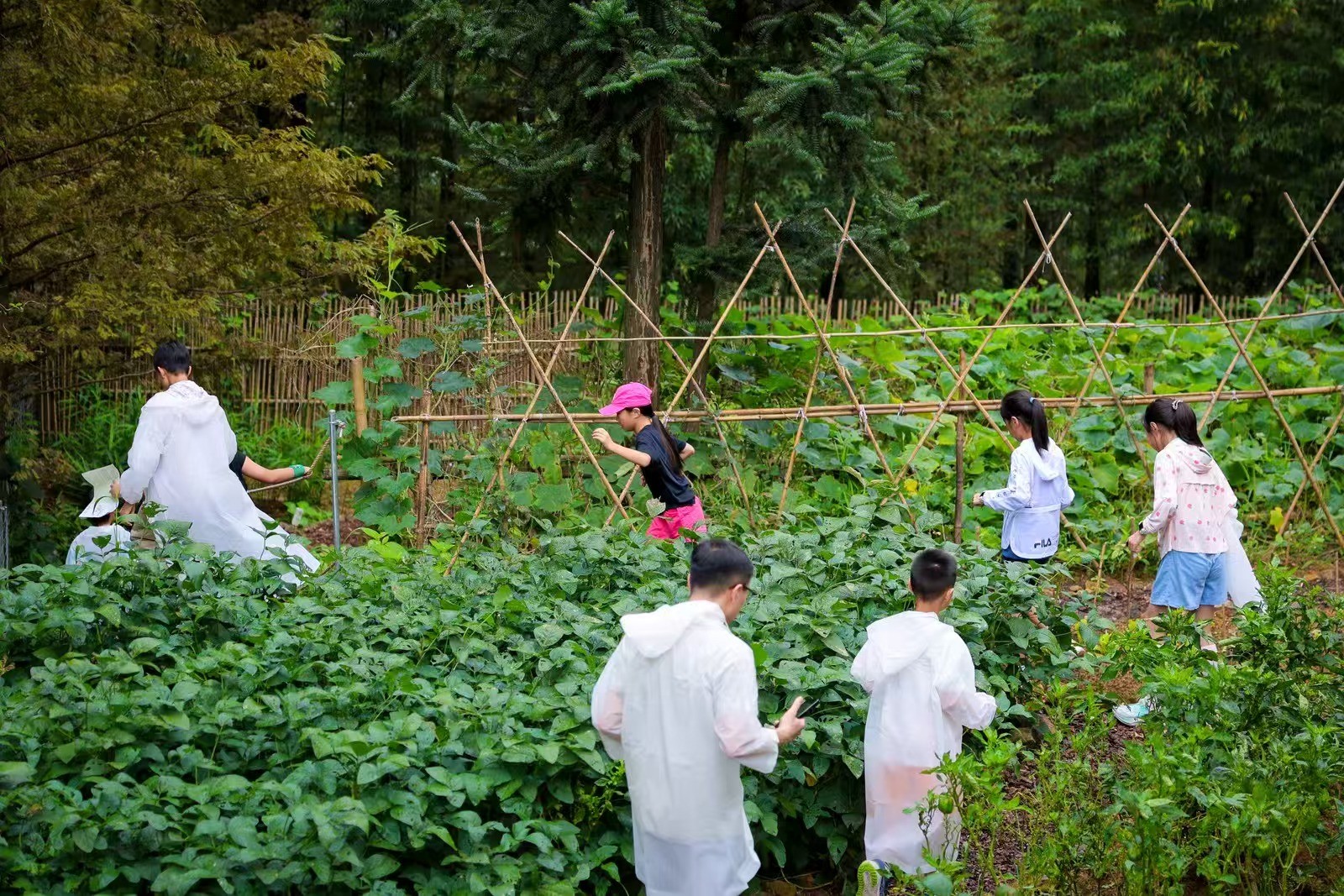 广阔世界 一网直前 奔驰x一善网球自然亲子营山野中释放成长潜能