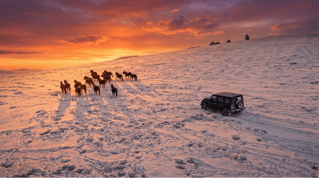 动力进阶、官改合规,212 T01长风柴油售价19.88万 动力进阶、官改合规,212 T01长风柴油售价19.88万