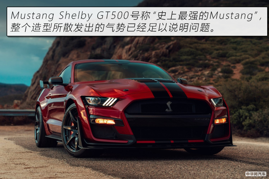 看脸还不够 福特Mustang Shelby GT500官图解析