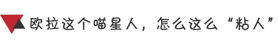 每个FLAG都是大事件，2021还有比遇见欧拉更治愈的事吗？